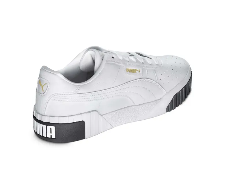 Puma_back_45_1 Kopie