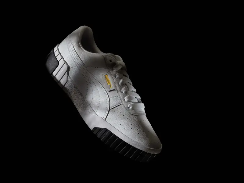 Puma_dreipunkt Kopie